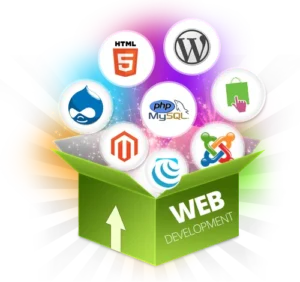 Website Design & Development